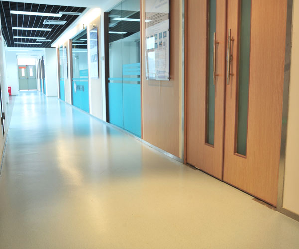 ����չʾ��